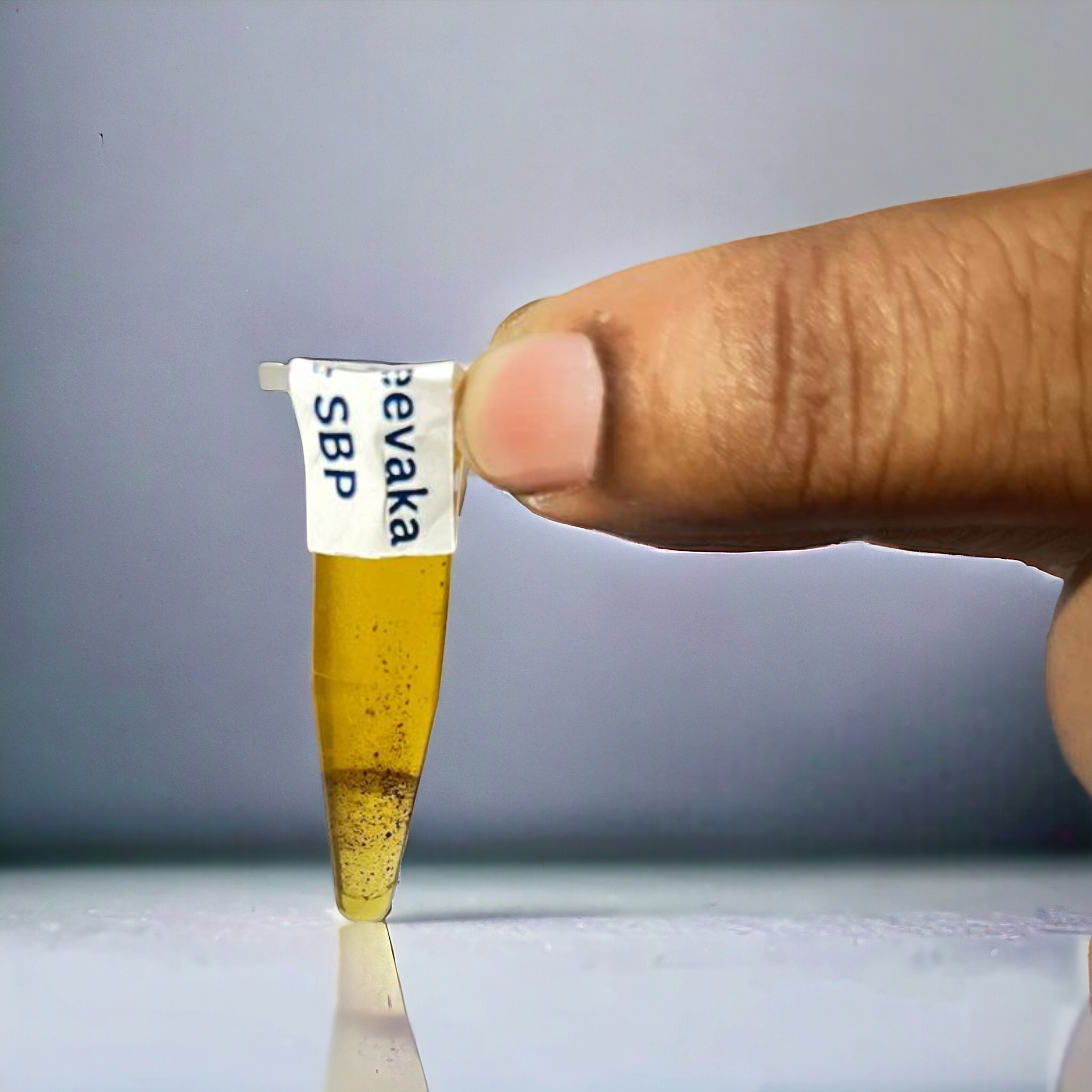 SBP Standard Vials